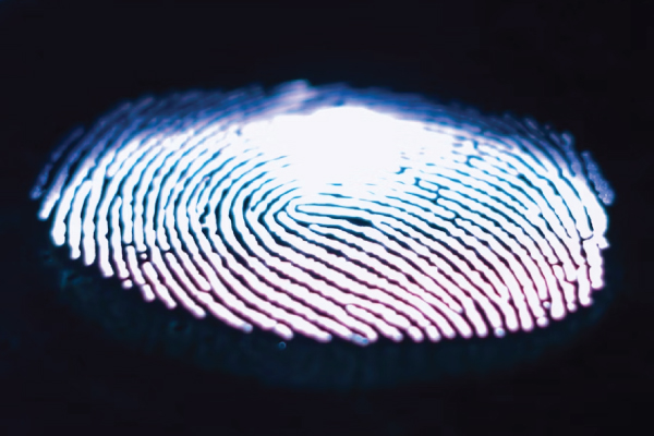 Fingerprint