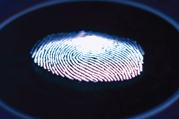 Electronic Fingerprint