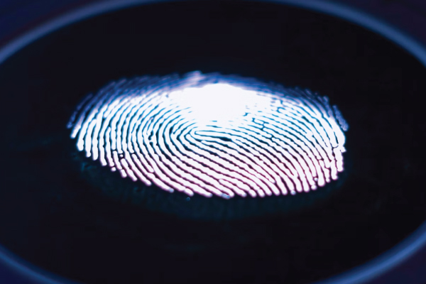 fingerprints